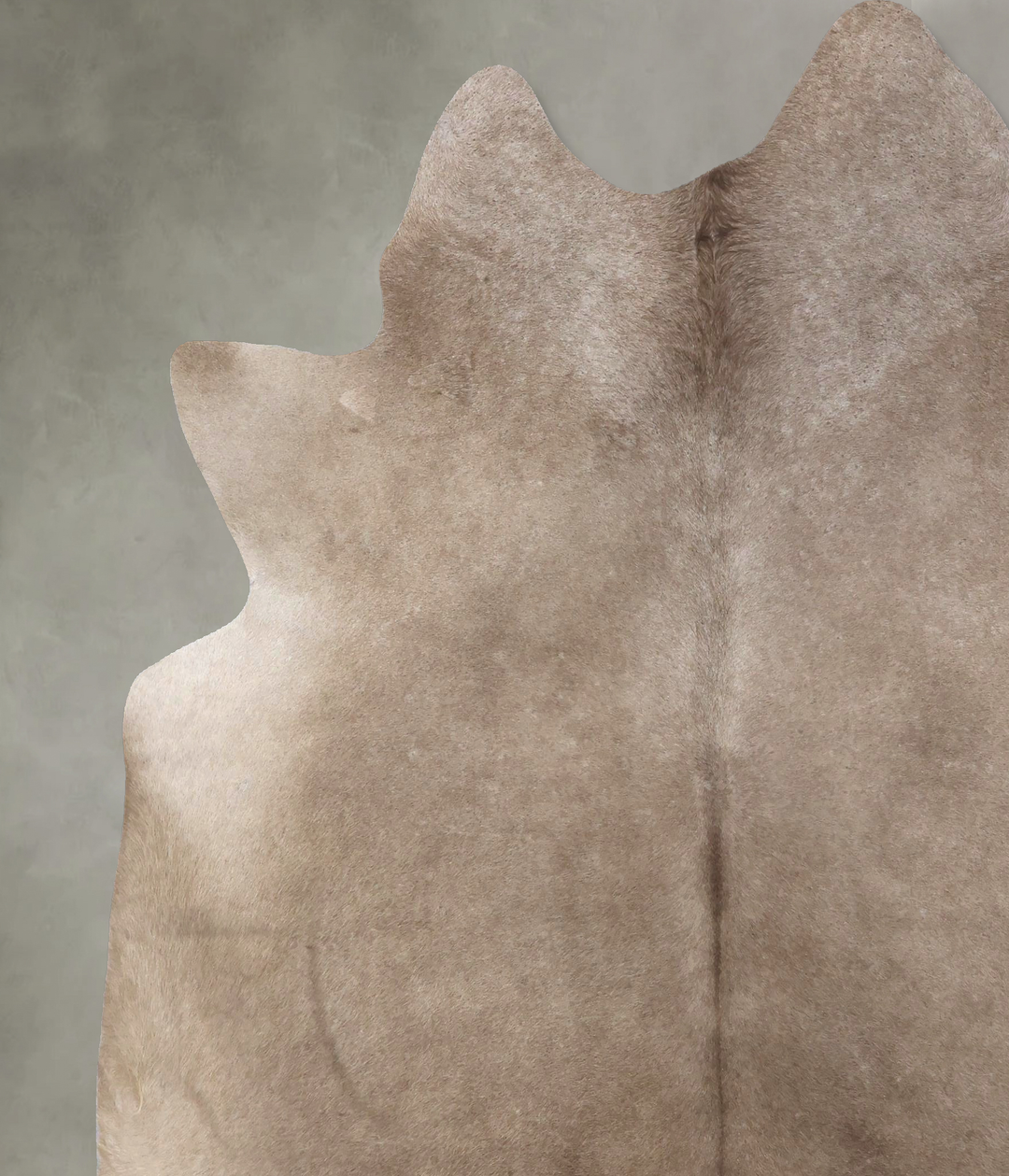 Champagne XX-Large Brazilian Cowhide Rug 8'2"H x 7'2"W #B19402 by Huds