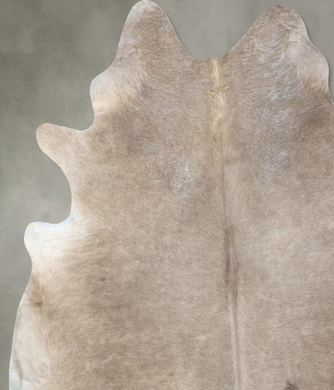 Champagne XX-Large Brazilian Cowhide Rug 7'7"H x 6'10"W #B19403 by Hud