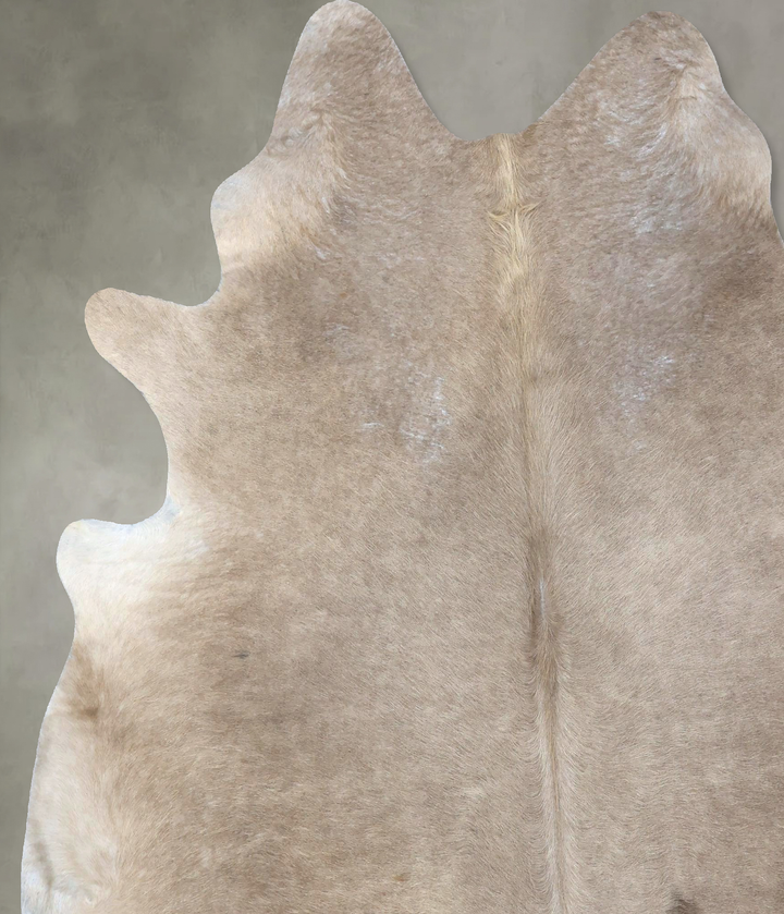 Champagne XX-Large Brazilian Cowhide Rug 7'7"H x 6'10"W #B19403 by Hudson Hides