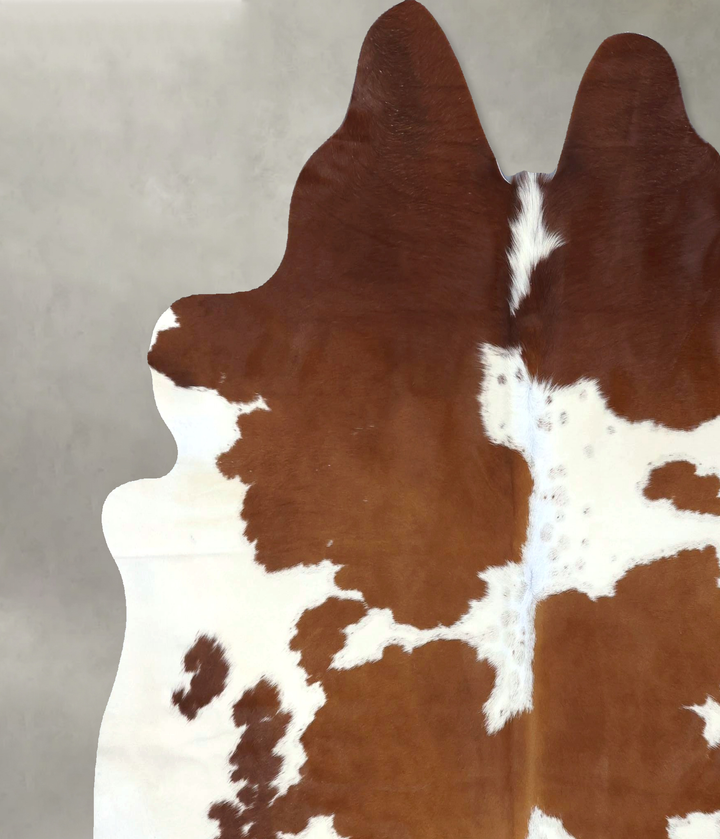 Brown and White X-Large Brazilian Cowhide Rug 6'10"H x 6'10"W #B19406 by Hudson Hides