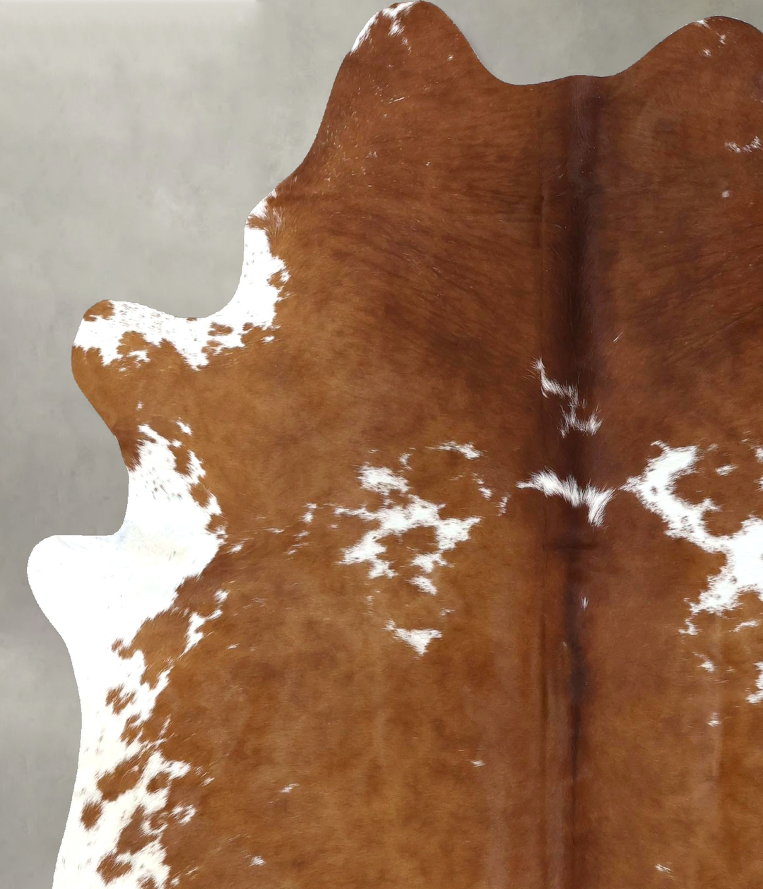 Brown and White Large Brazilian Cowhide Rug 6'9"H x 5'5"W #B19407 by H