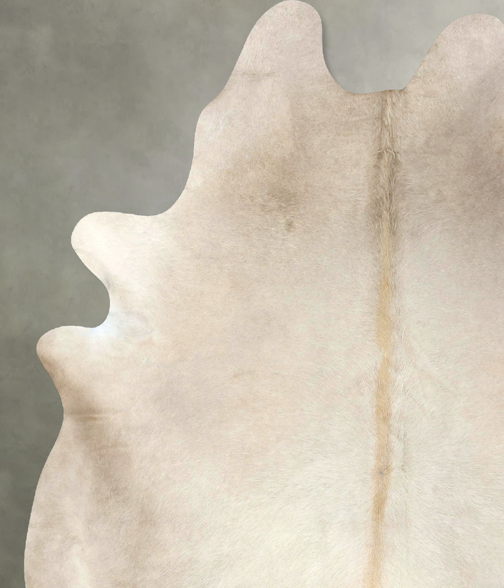 Champagne XX-Large Brazilian Cowhide Rug 8'3"H x 6'1"W #B19410 by Hudson Hides