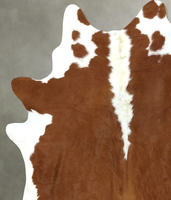 Hereford XX-Large Brazilian Cowhide Rug 8'2"H x 6'11"W #B19417 by Hudson Hides