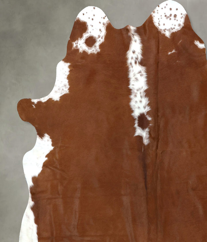 Brown and White Regular XX-Large Brazilian Cowhide Rug 8'3"H x 7'5"W #B19418 by Hudson Hides