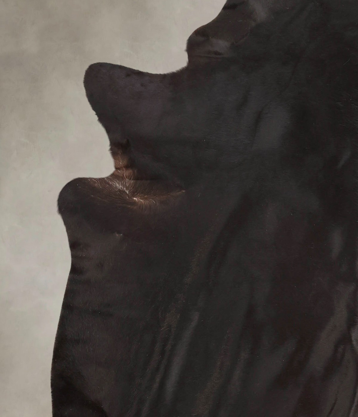 Solid Black Cowhide Rug #B1943