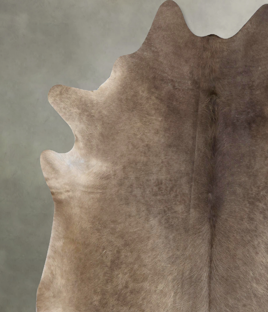 Champagne XX-Large Brazilian Cowhide Rug 7'11"H x 7'2"W #B19432 by Hud
