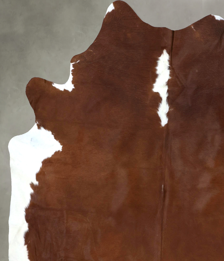 Hereford XX-Large Brazilian Cowhide Rug 8'1"H x 6'8"W #B19434 by Hudson Hides