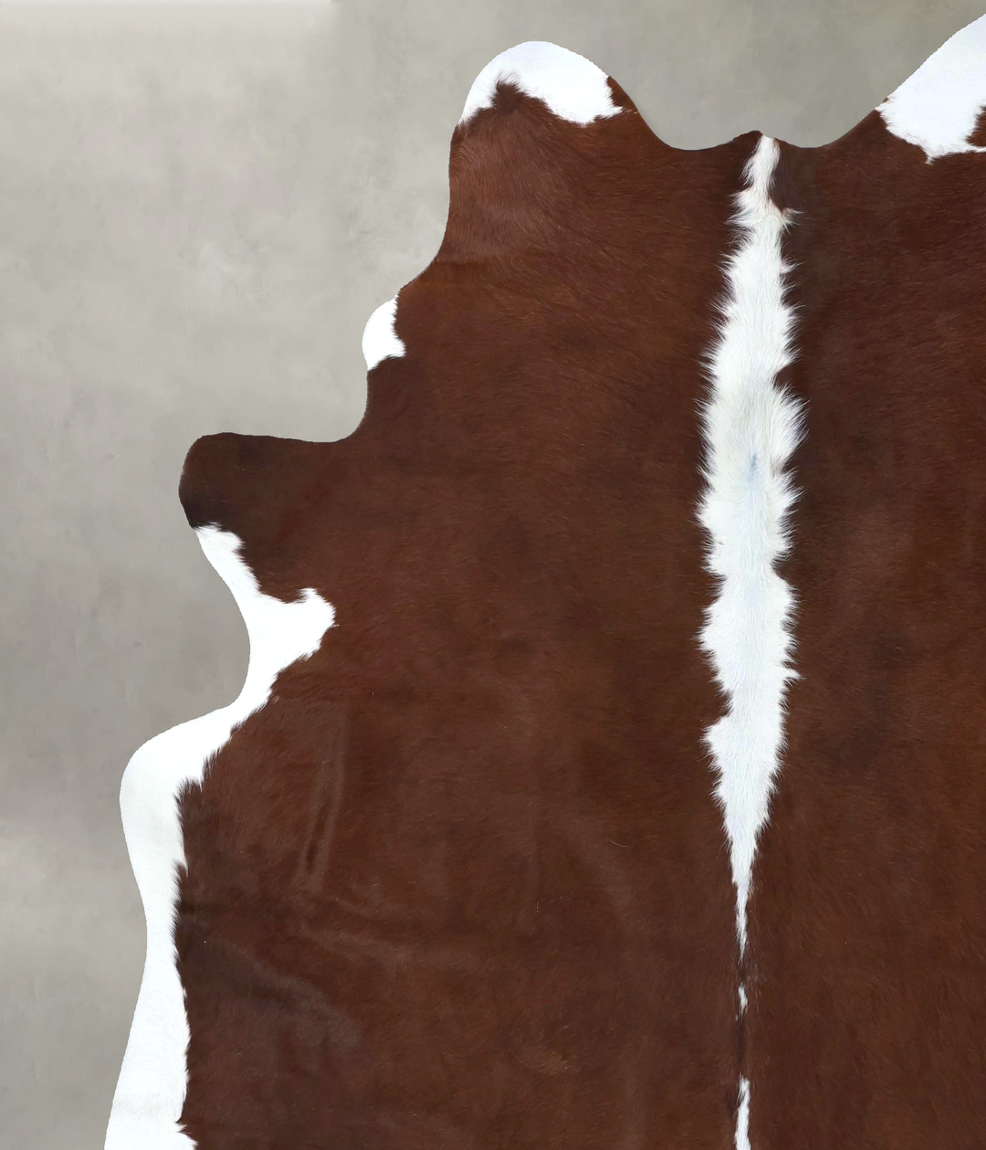Hereford XX-Large Brazilian Cowhide Rug 7'9"H x 6'11"W #B19438 by Huds