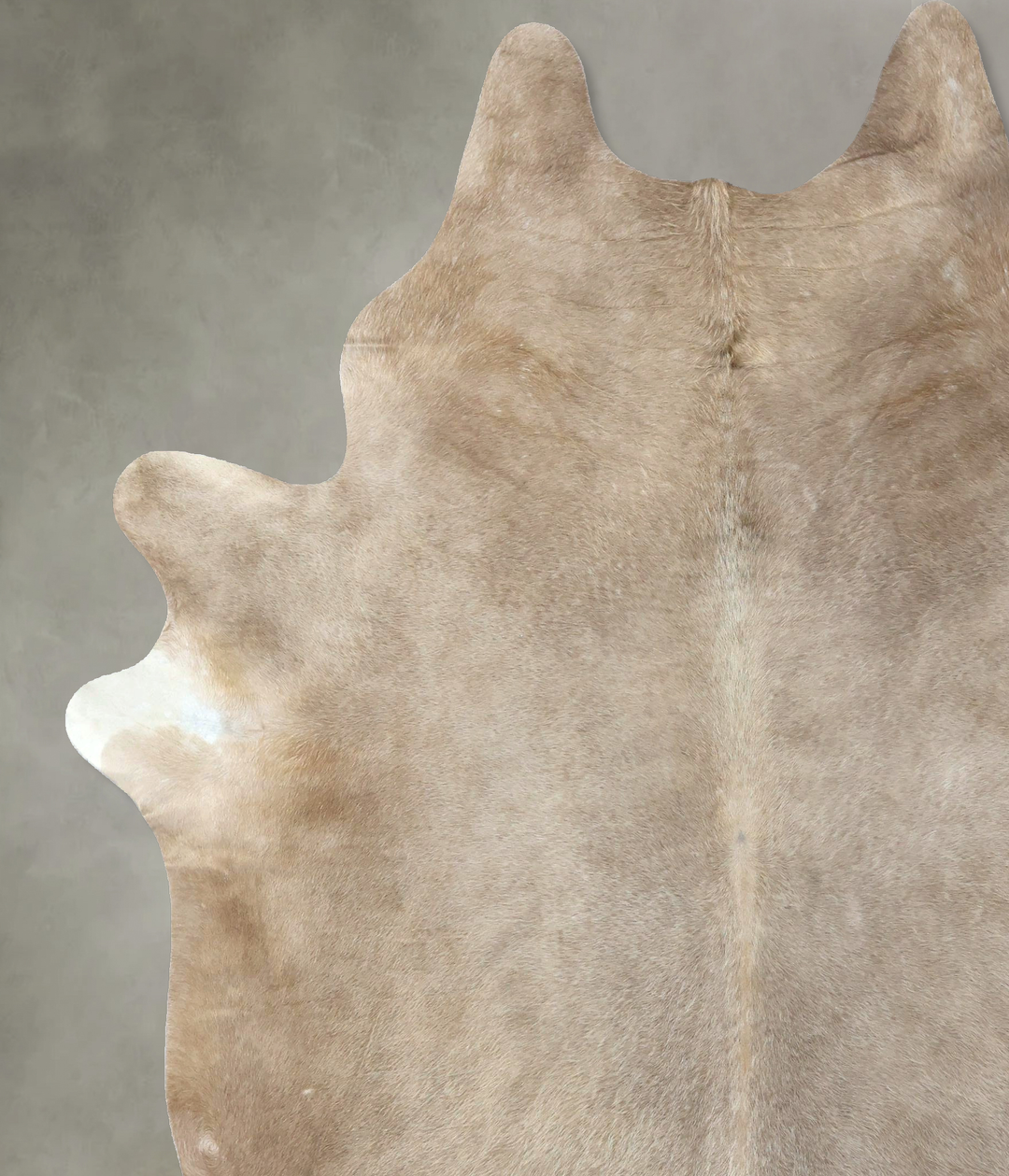 Champagne XX-Large Brazilian Cowhide Rug 9'2"H x 7'3"W #B19442 by Huds