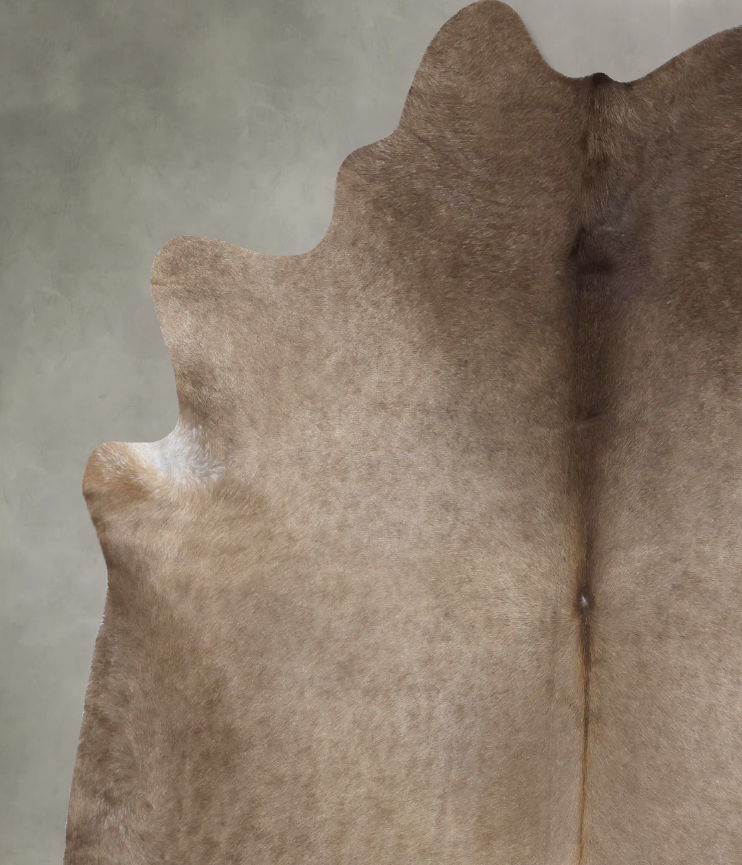 Taupe XX-Large Brazilian Cowhide Rug 8'3"H x 7'1"W #B19449 by Hudson H