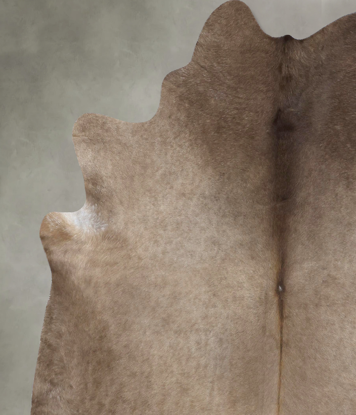 Taupe XX-Large Brazilian Cowhide Rug 8'3"H x 7'1"W #B19449 by Hudson Hides