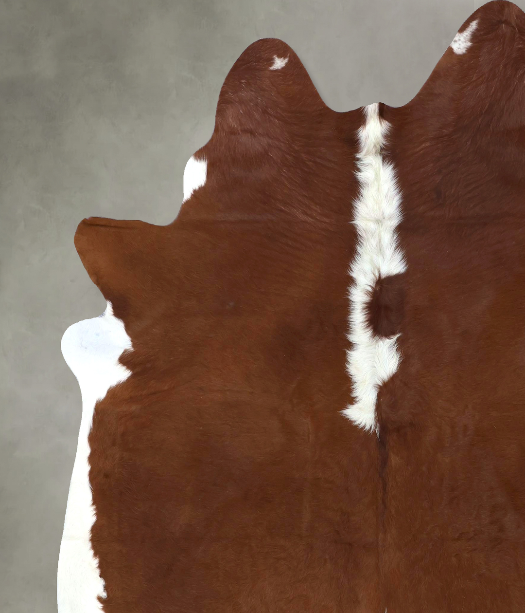 Hereford XX-Large Brazilian Cowhide Rug 7'11"H x 6'11"W #B19457 by Hud
