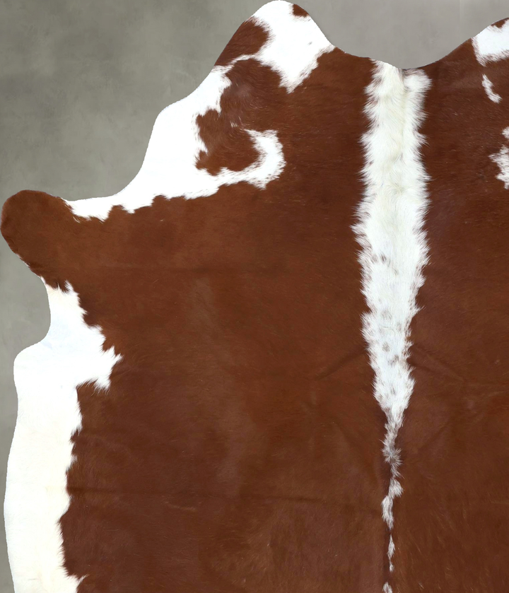 Hereford X-Large Brazilian Cowhide Rug 7'6"H x 5'11"W #B19458 by Hudson Hides