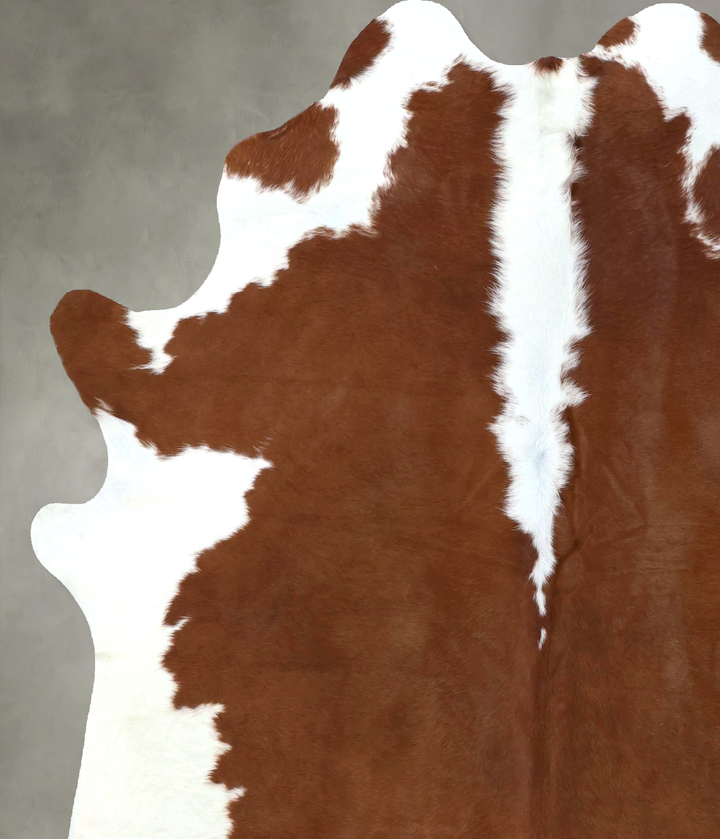 Hereford X-Large Brazilian Cowhide Rug 7'7"H x 6'2"W #B19463 by Hudson Hides