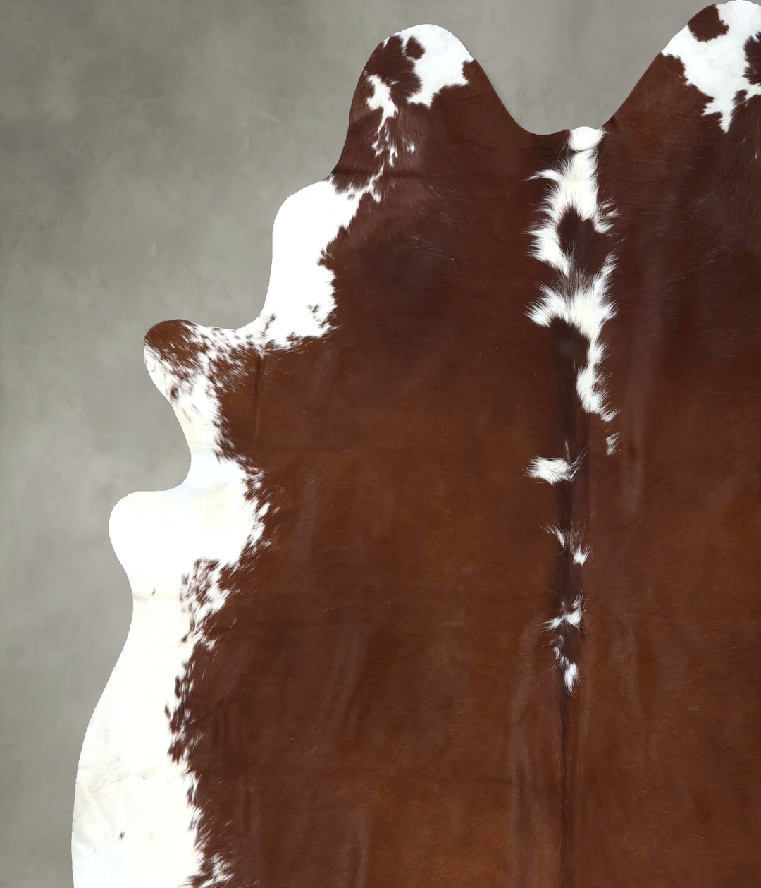 Brown and White Regular XX-Large Brazilian Cowhide Rug 7'10"H x 7'0"W 