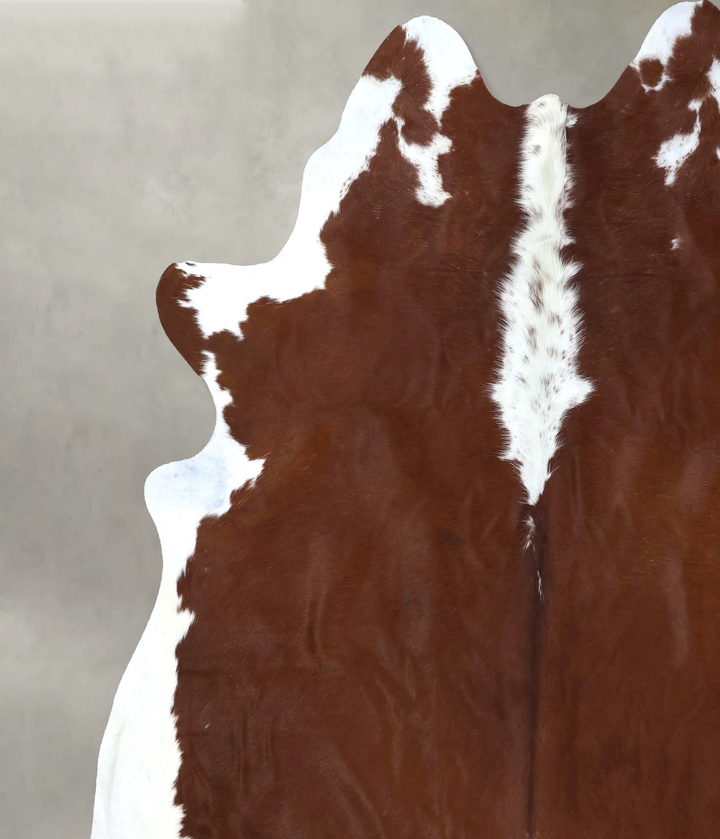 Hereford XX-Large Brazilian Cowhide Rug 7'10"H x 7'6"W #B19466 by Hudson Hides