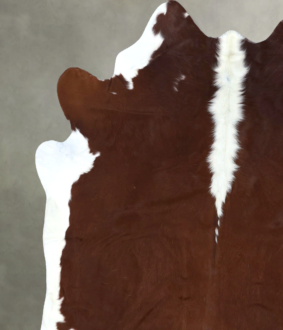 Hereford X-Large Brazilian Cowhide Rug 7'3"H x 6'5"W #B19469 by Hudson
