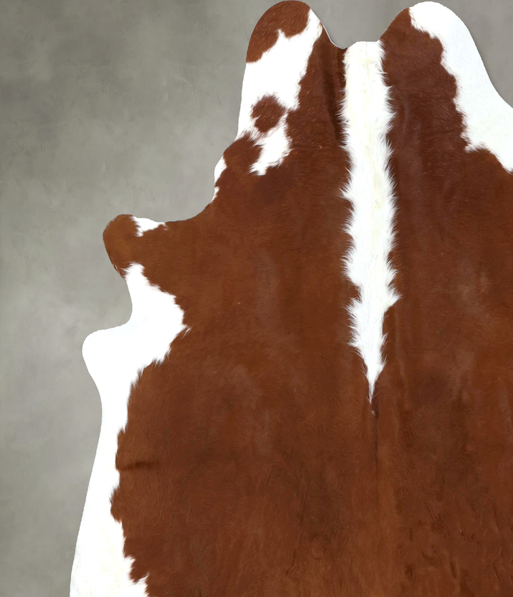 Hereford XX-Large Brazilian Cowhide Rug 7'5"H x 7'2"W #B19470 by Hudson Hides
