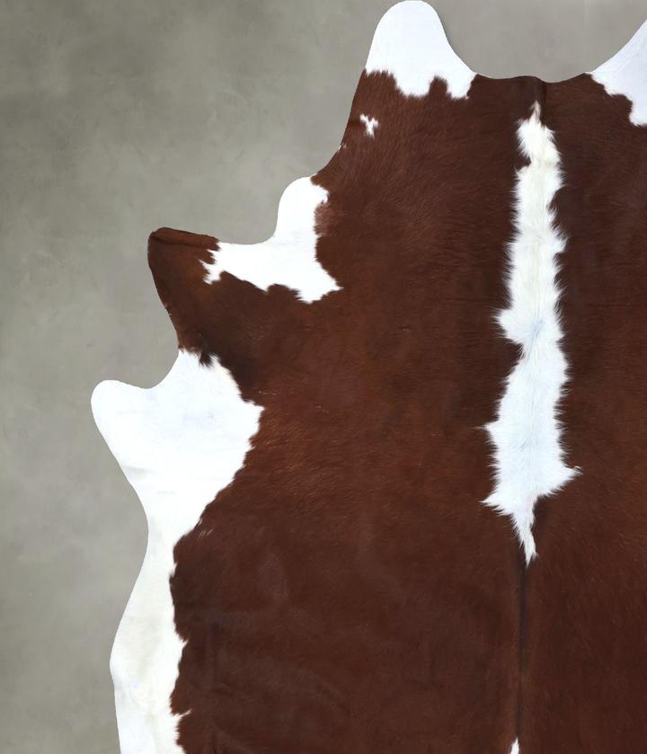 Brown and White Regular XX-Large Brazilian Cowhide Rug 8'6"H x 7'3"W #B19474 by Hudson Hides