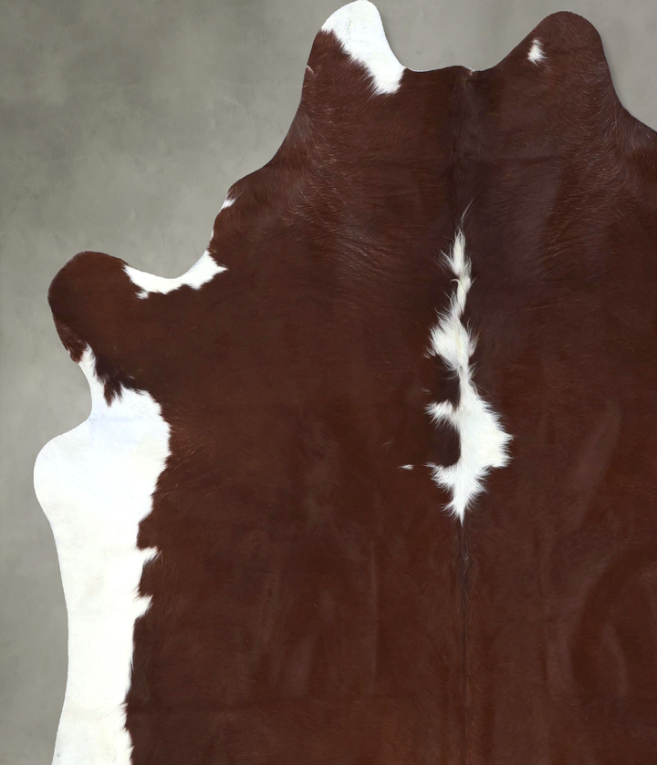 Brown and White Regular XX-Large Brazilian Cowhide Rug 7'10"H x 7'2"W #B19477 by Hudson Hides
