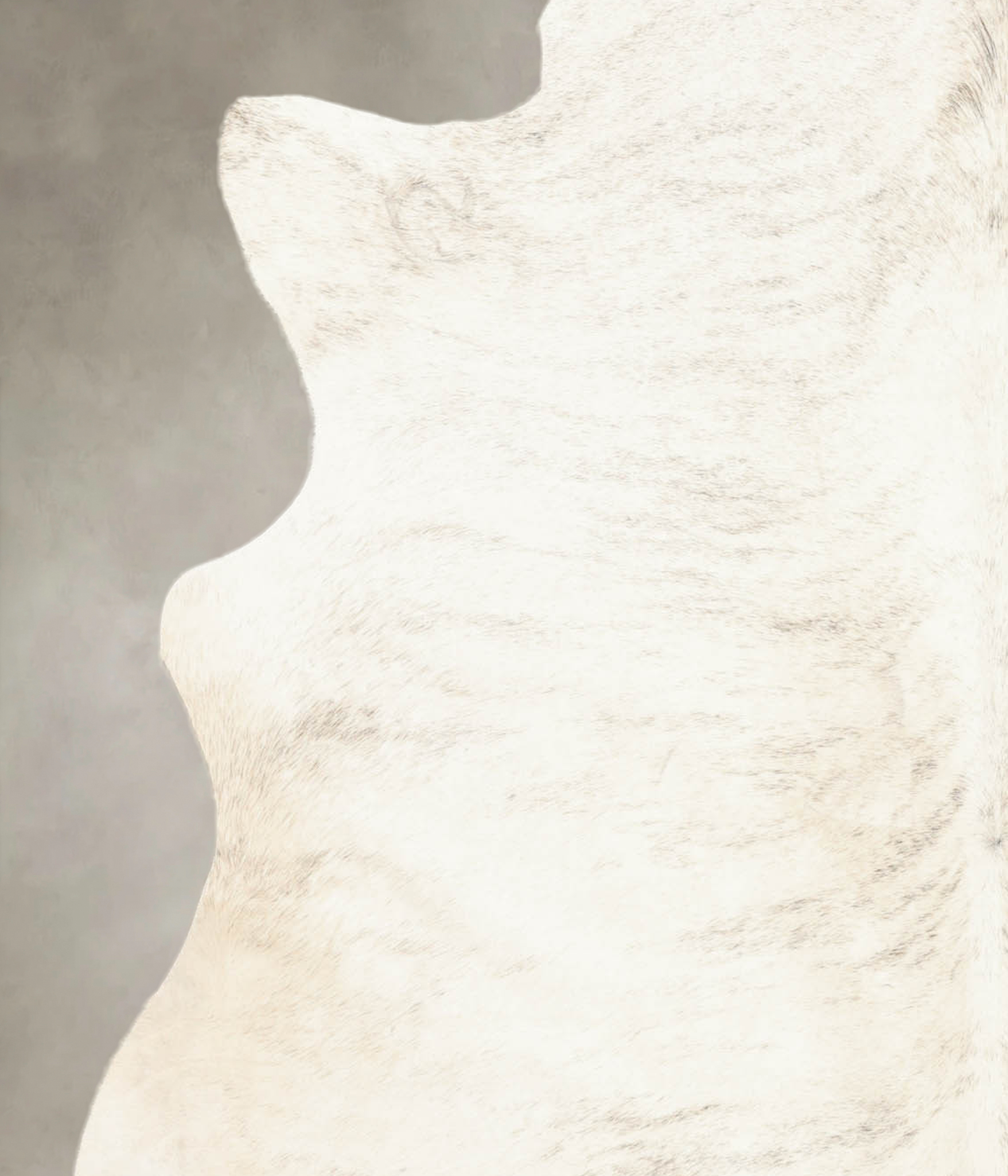 Grey Brindle Cowhide Rug #B1949