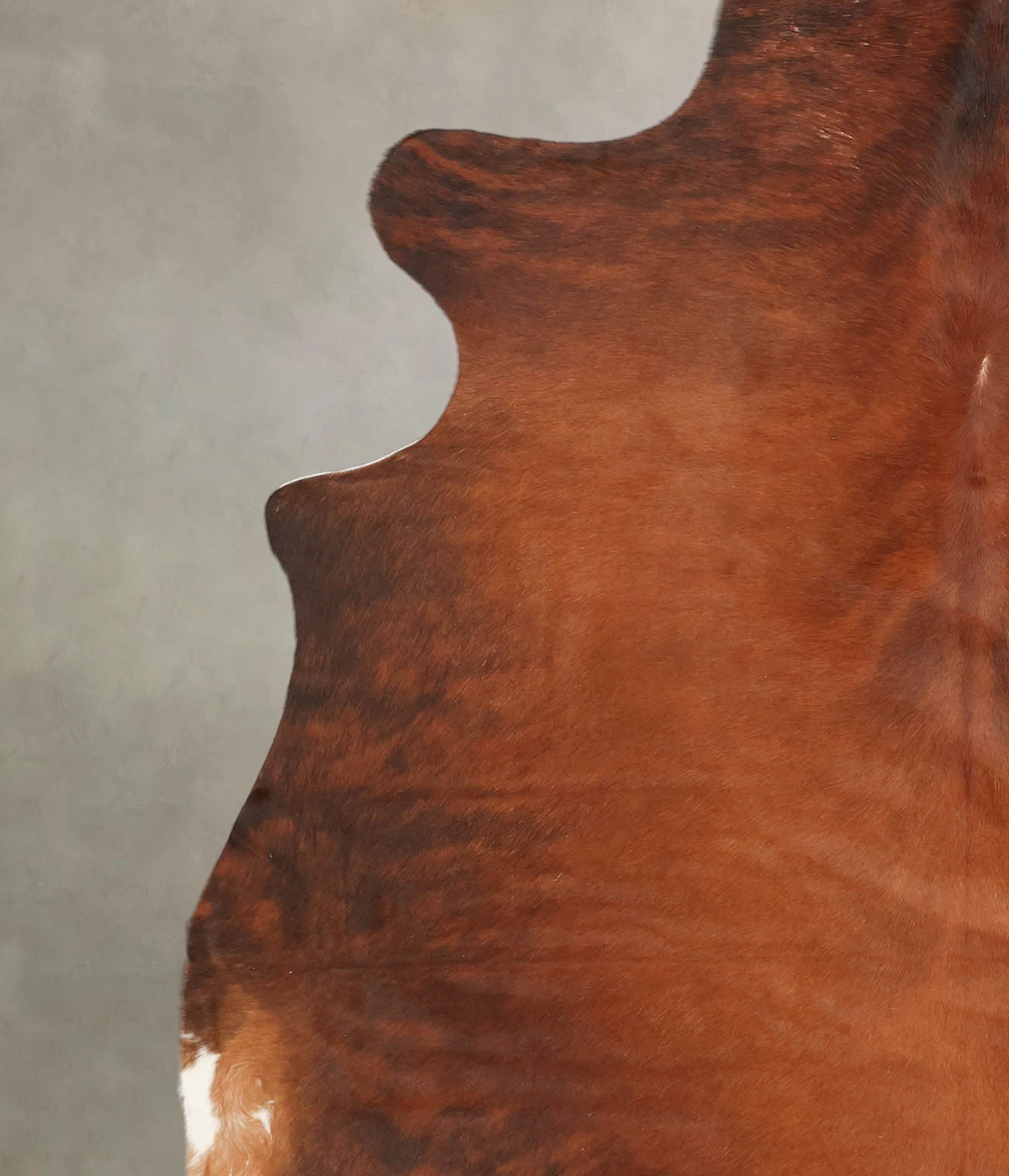 Medium Brindle X-Large Brazilian Cowhide Rug 6'11"H x 6'10"W #B1961 by Hudson Hides
