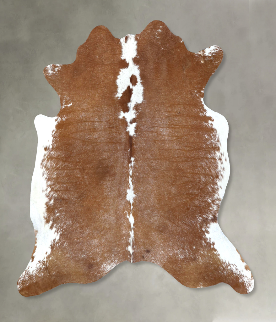 Brown and White Regular X-Large Brazilian Cowhide Rug 6'8"H x 6'4"W #B19623 by Hudson Hides