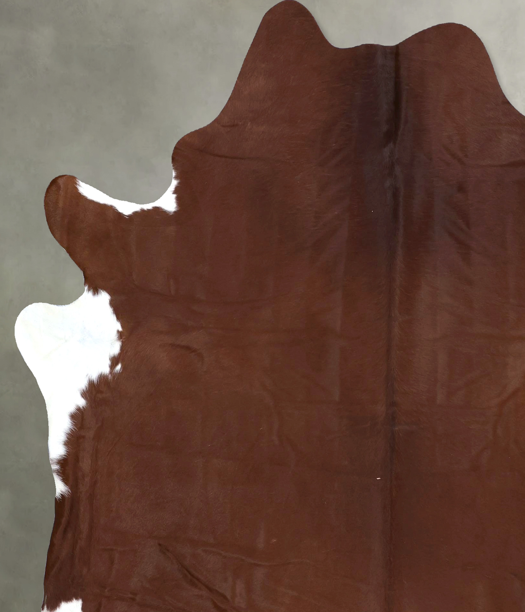 Solid Brown X-Large Brazilian Cowhide Rug 7'9"H x 6'5"W #B19776 by Hud