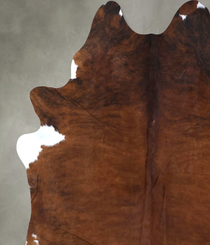 Medium Brindle X-Large Brazilian Cowhide Rug 7'4"H x 6'6"W #B19779 by Hudson Hides