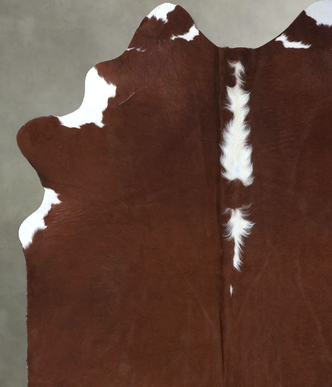 Brown and White Regular X-Large Brazilian Cowhide Rug 7'10"H x 6'2"W #