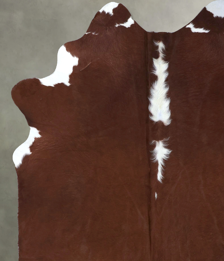 Brown and White Regular X-Large Brazilian Cowhide Rug 7'10"H x 6'2"W #B19781 by Hudson Hides