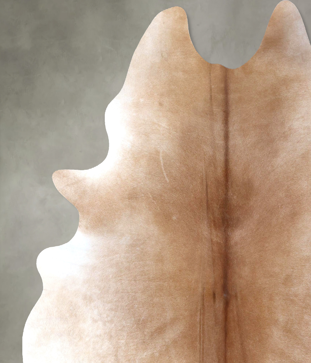 Light Caramel XX-Large Brazilian Cowhide Rug 8'6"H x 6'8"W #B19784 by 