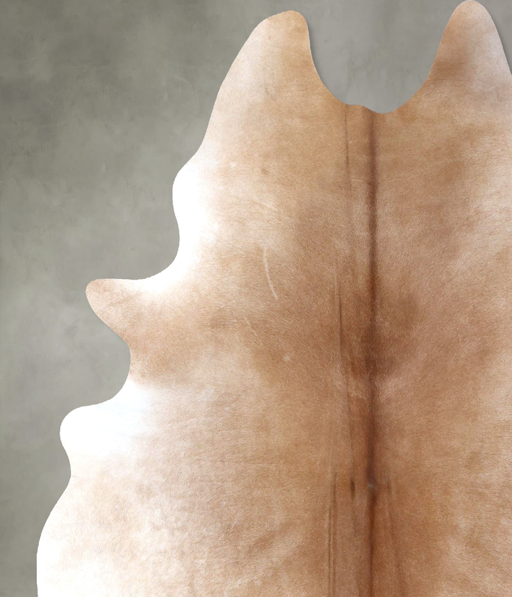 Light Caramel XX-Large Brazilian Cowhide Rug 8'6"H x 6'8"W #B19784 by Hudson Hides