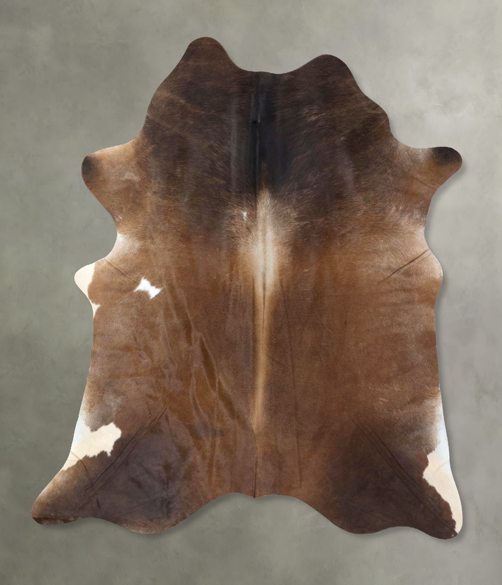 Warm Caramel X-Large Brazilian Cowhide Rug 7'7"H x 6'0"W #B19787 by Hudson Hides