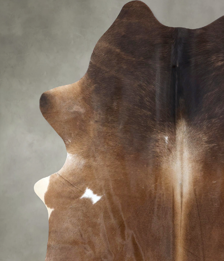 Warm Caramel X-Large Brazilian Cowhide Rug 7'7"H x 6'0"W #B19787 by Hudson Hides