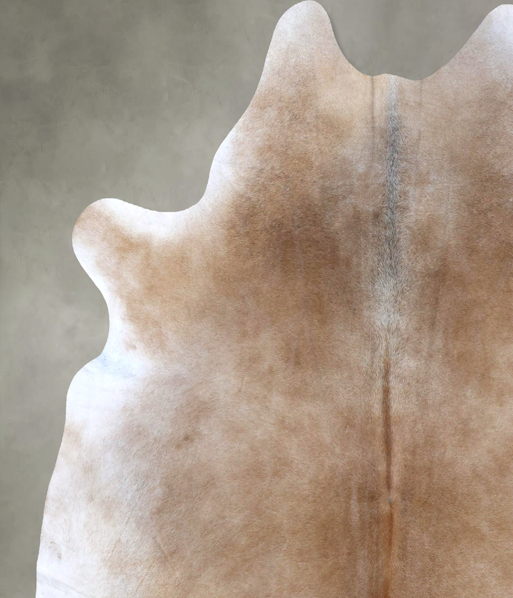 Light Caramel XX-Large Brazilian Cowhide Rug 8'0"H x 6'7"W #B19788 by Hudson Hides