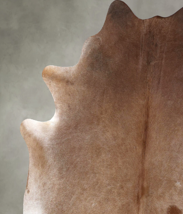 Warm Caramel XX-Large Brazilian Cowhide Rug 8'2"H x 6'7"W #B19794 by Hudson Hides