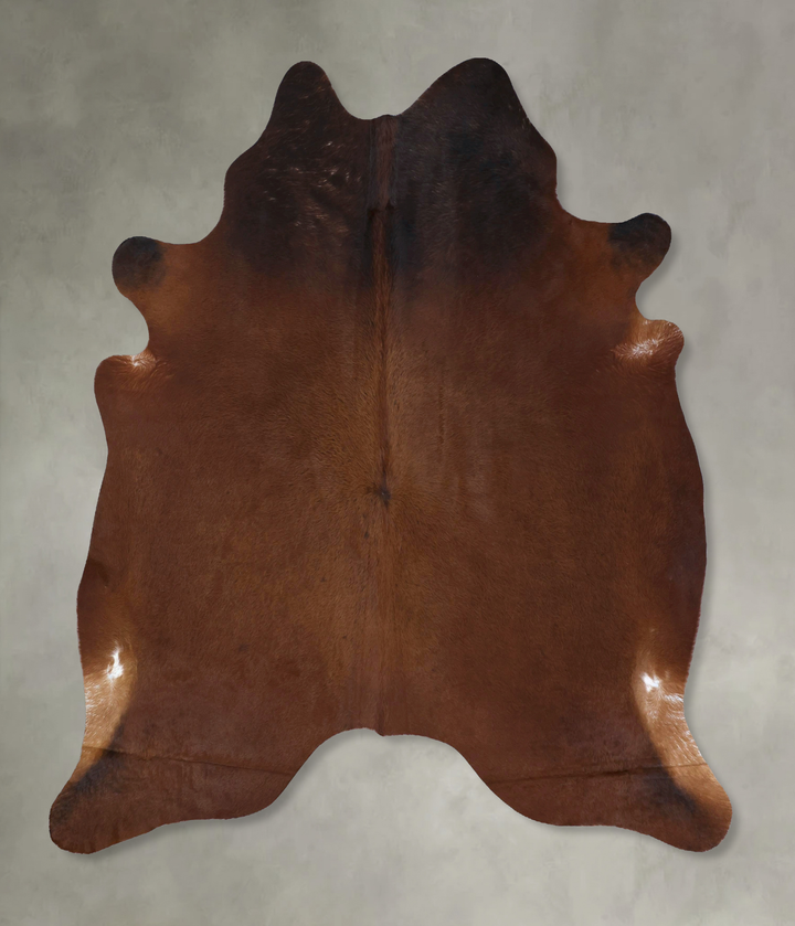 Warm Caramel XX-Large Brazilian Cowhide Rug 8'0"H x 6'9"W #B19804 by Hudson Hides