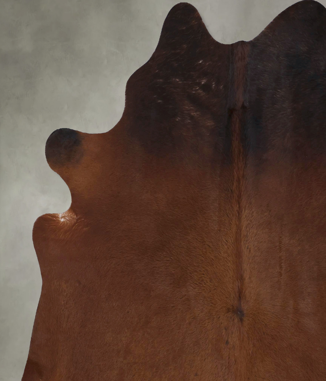 Warm Caramel XX-Large Brazilian Cowhide Rug 8'0"H x 6'9"W #B19804 by H