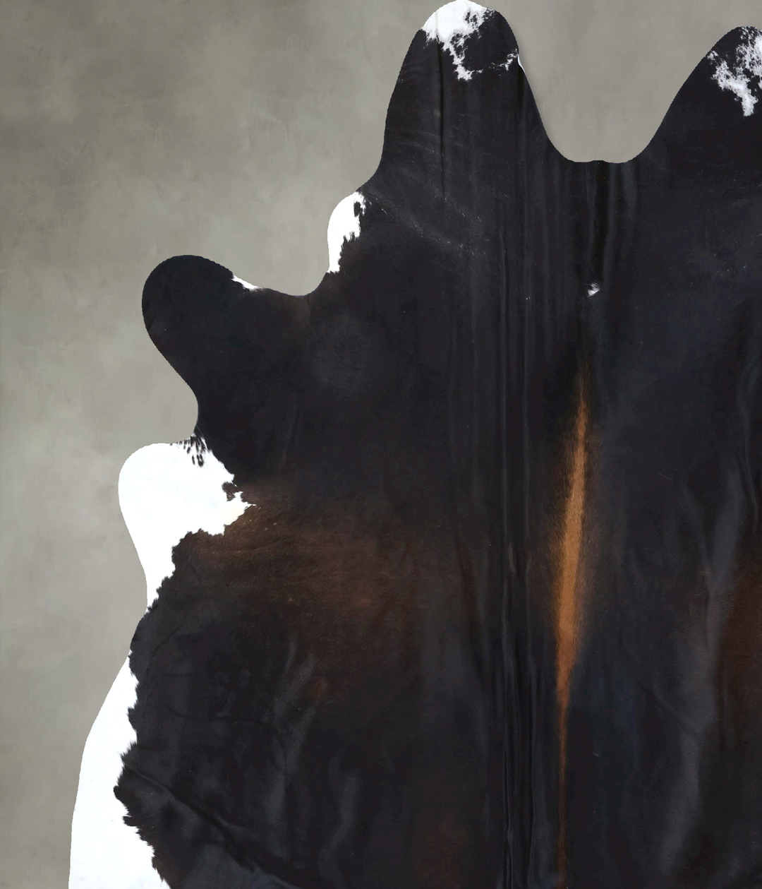 Chocolate and White XX-Large Brazilian Cowhide Rug 8'4"H x 7'4"W #B198