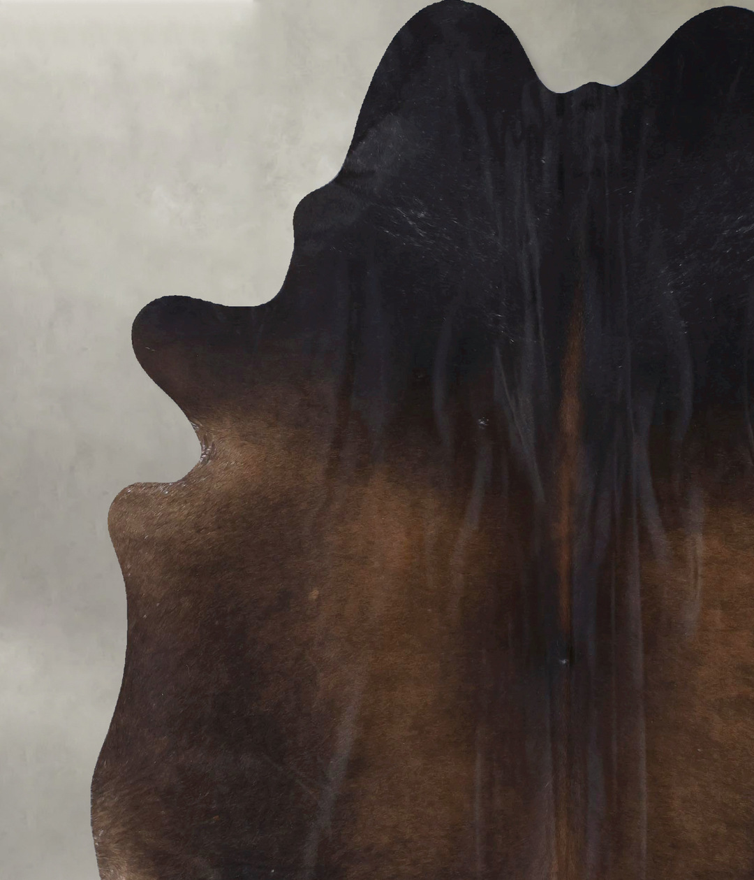 Chocolate XX-Large Brazilian Cowhide Rug 8'0"H x 6'5"W #B19811 by Huds