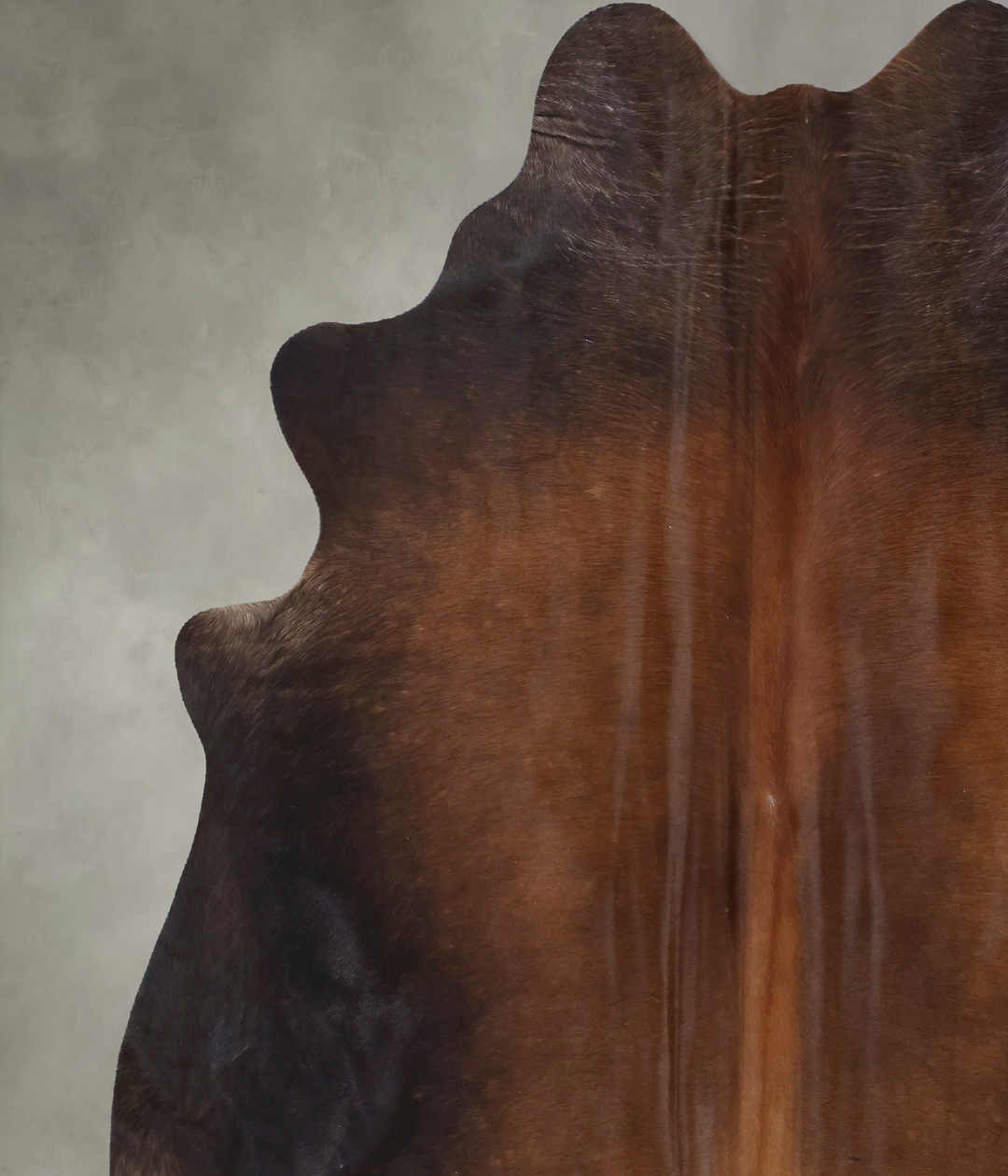 Warm Caramel X-Large Brazilian Cowhide Rug 7'5"H x 6'4"W #B19824 by Hu