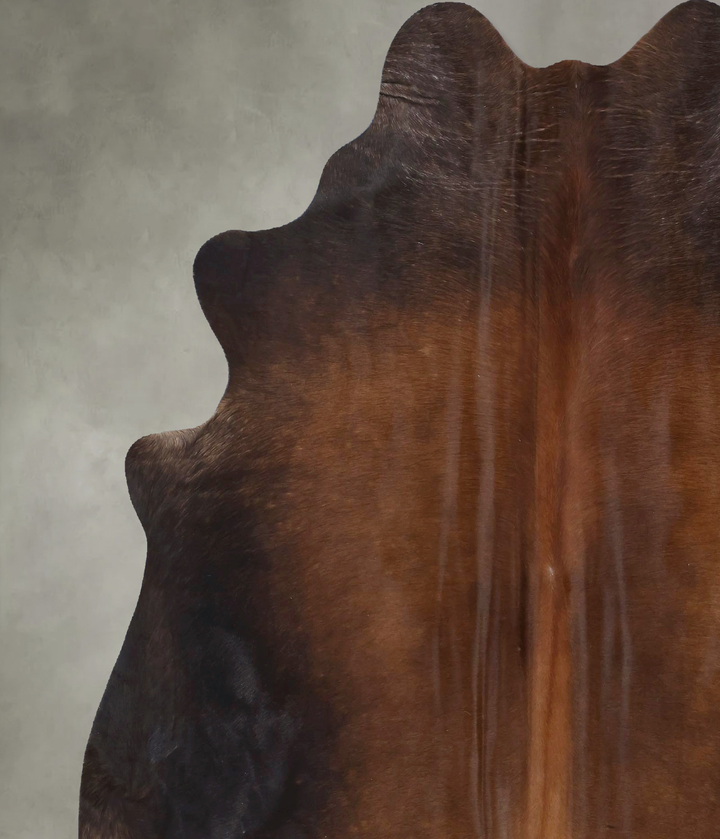 Warm Caramel X-Large Brazilian Cowhide Rug 7'5"H x 6'4"W #B19824 by Hudson Hides