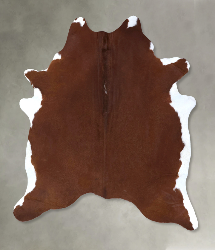 Brown and White Regular XX-Large Brazilian Cowhide Rug 8'0"H x 6'5"W #B19825 by Hudson Hides
