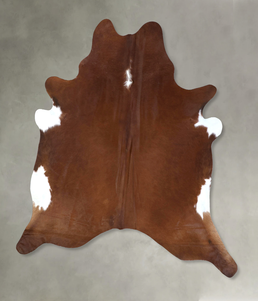 Brown and White Regular XX-Large Brazilian Cowhide Rug 8'3"H x 6'8"W #B19827 by Hudson Hides