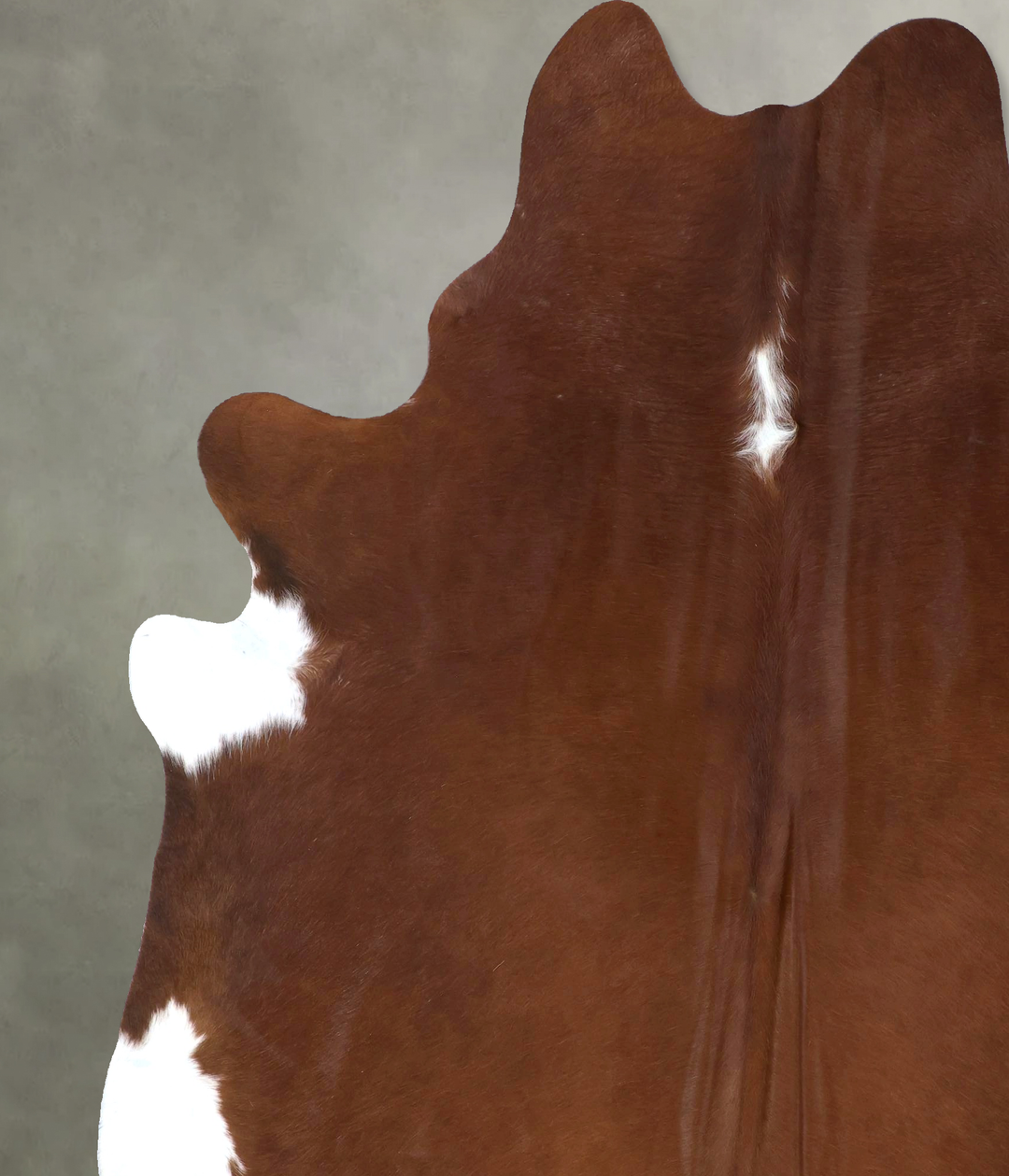 Brown and White Regular XX-Large Brazilian Cowhide Rug 8'3"H x 6'8"W #