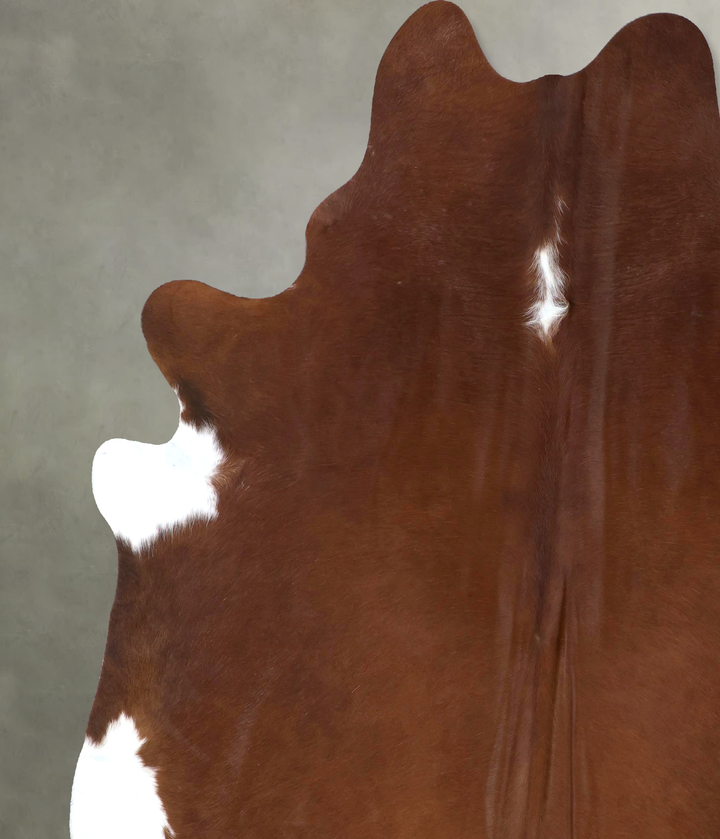 Brown and White Regular XX-Large Brazilian Cowhide Rug 8'3"H x 6'8"W #B19827 by Hudson Hides