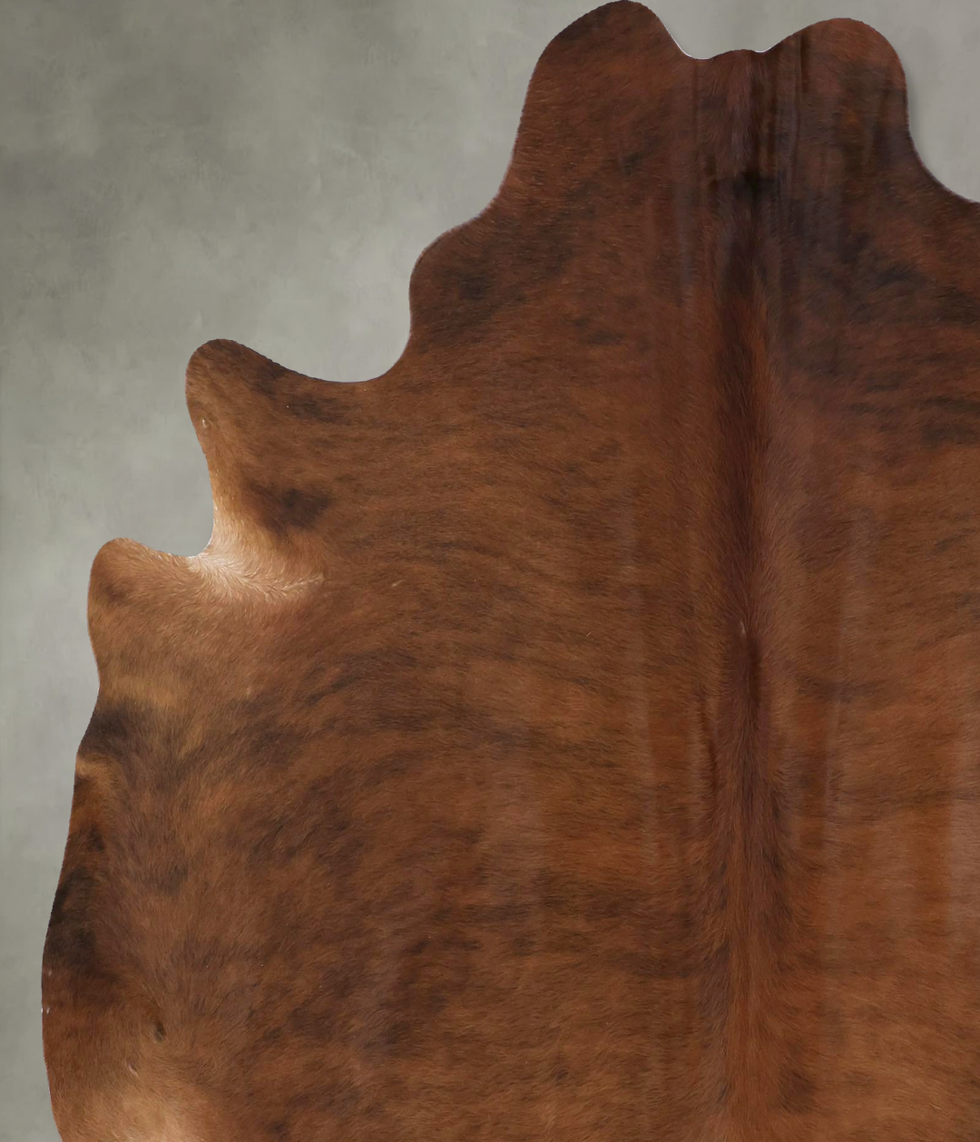 Medium Brindle X-Large Brazilian Cowhide Rug 7'1"H x 6'3"W #B19829 by 