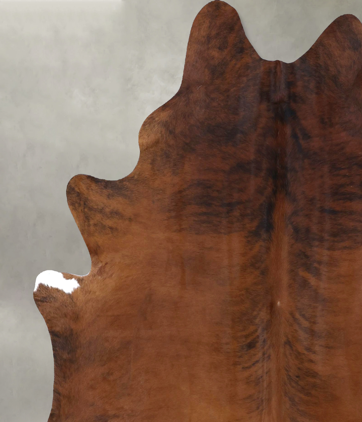 Medium Brindle X-Large Brazilian Cowhide Rug 7'6"H x 6'3"W #B19830 by Hudson Hides