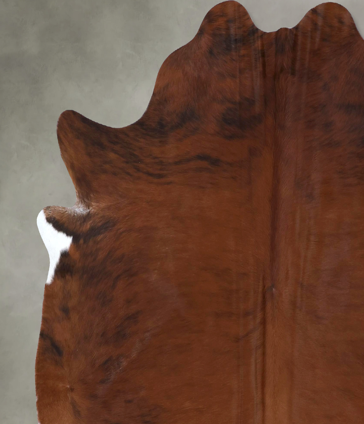 Medium Brindle X-Large Brazilian Cowhide Rug 7'1"H x 6'7"W #B19832 by Hudson Hides